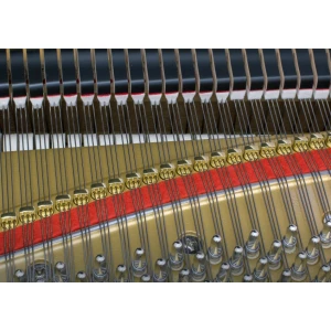 KAWAI GL-20 M/PEP