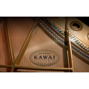 KAWAI GL-20 WH/P