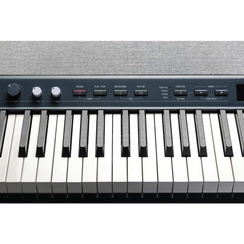 KURZWEIL KA P1 LB