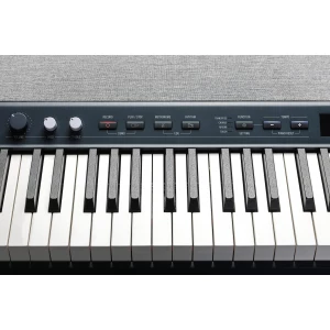 KURZWEIL KA P1 LB