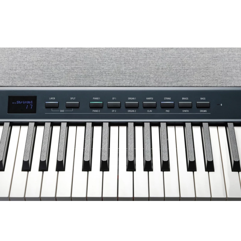 KURZWEIL KA P1 LB