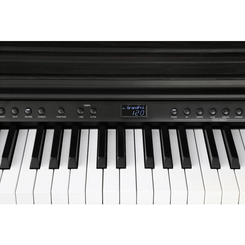 KURZWEIL CUP E1 BK
