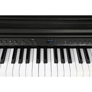KURZWEIL CUP E1 BK
