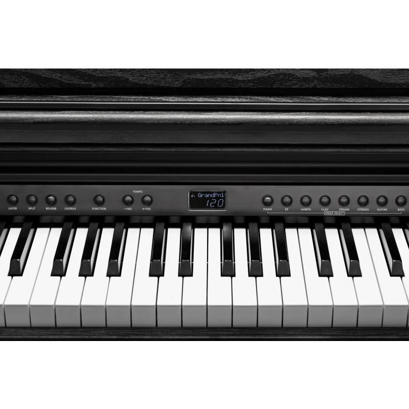 KURZWEIL CUP E1 BK