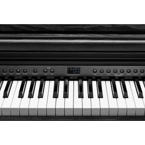 KURZWEIL CUP E1 BK