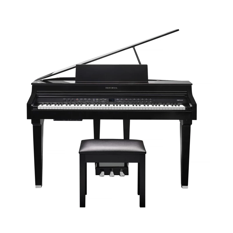 KURZWEIL CUP G1W BP