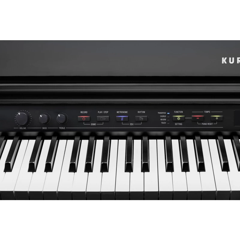 KURZWEIL CUP G1W BP