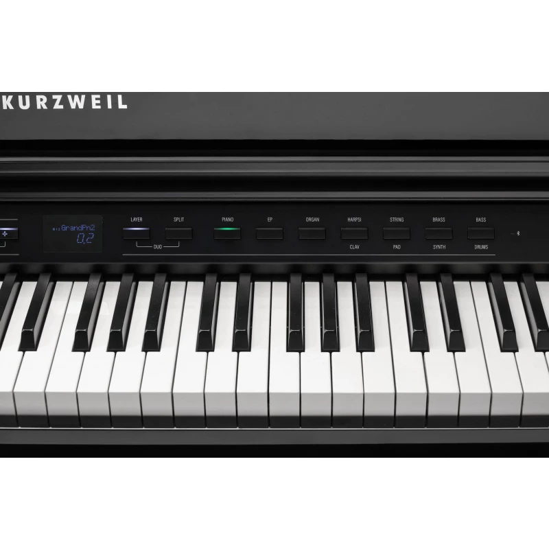 KURZWEIL CUP G1W BP
