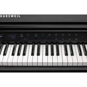 KURZWEIL CUP G1W BP