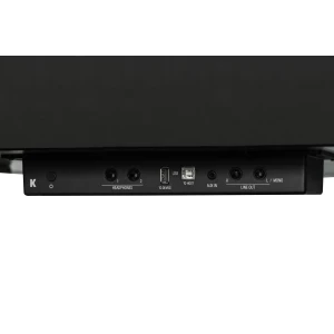 KURZWEIL CUP G1W BP