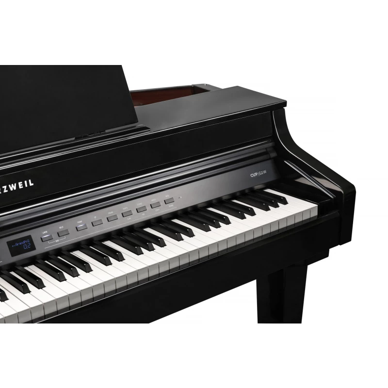 KURZWEIL CUP G1W BP
