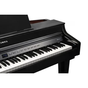 KURZWEIL CUP G1W BP