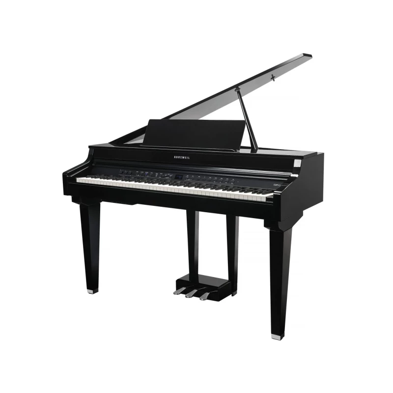 KURZWEIL CUP G1W BP