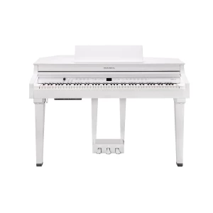 KURZWEIL CUP G1W WHP