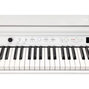 KURZWEIL CUP G1W WHP