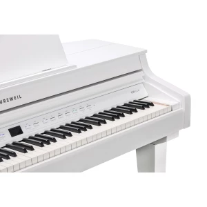 KURZWEIL CUP G1W WHP