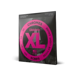 D'ADDARIO ECB81S