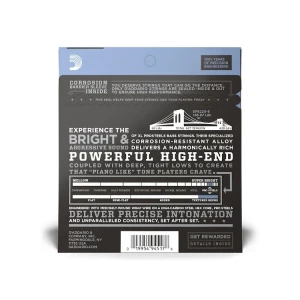 D'ADDARIO EPS220-5