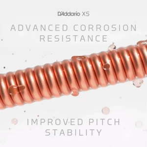 D'ADDARIO XSAPB1253-2P