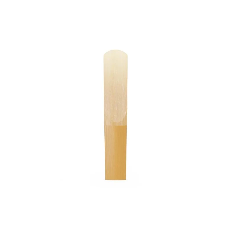 RICO ODCT10355