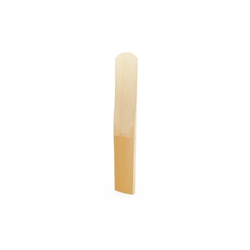 RICO ODCT10355