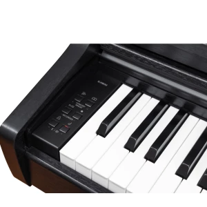 KAWAI CX202 B