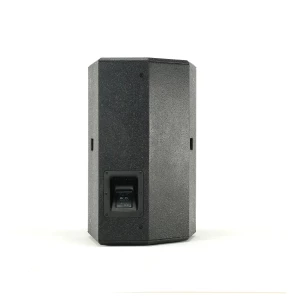 DB TECHNOLOGIES LVX P15